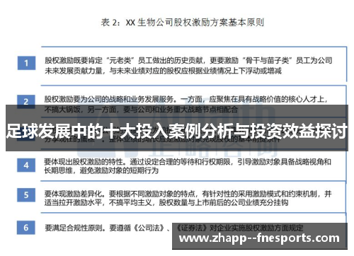 足球发展中的十大投入案例分析与投资效益探讨 足球发展中的十大投入案例分析与投资效益探讨