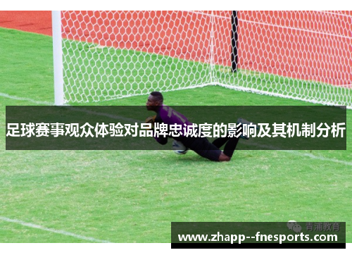 足球赛事观众体验对品牌忠诚度的影响及其机制分析