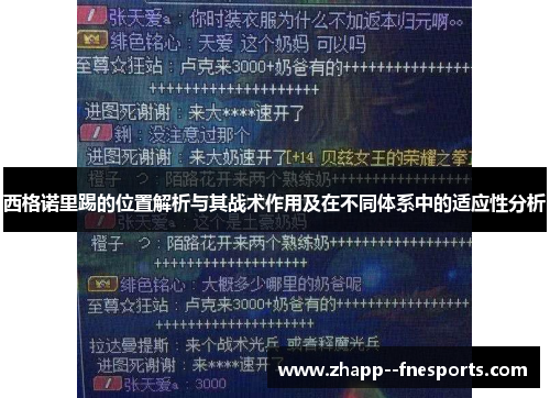 西格诺里踢的位置解析与其战术作用及在不同体系中的适应性分析
