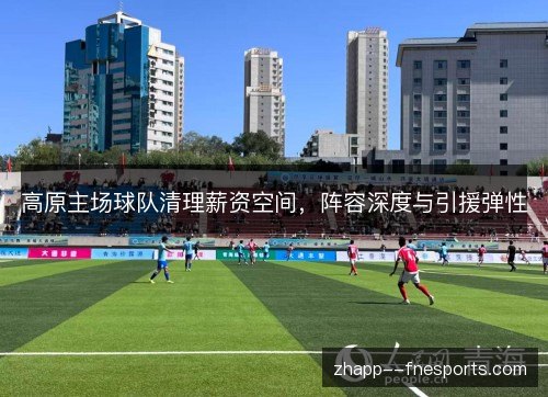 高原主场球队清理薪资空间，阵容深度与引援弹性